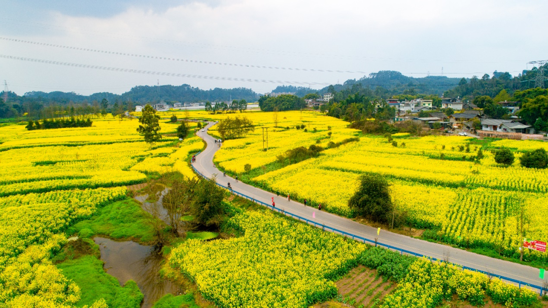 峨眉河風(fēng)景道